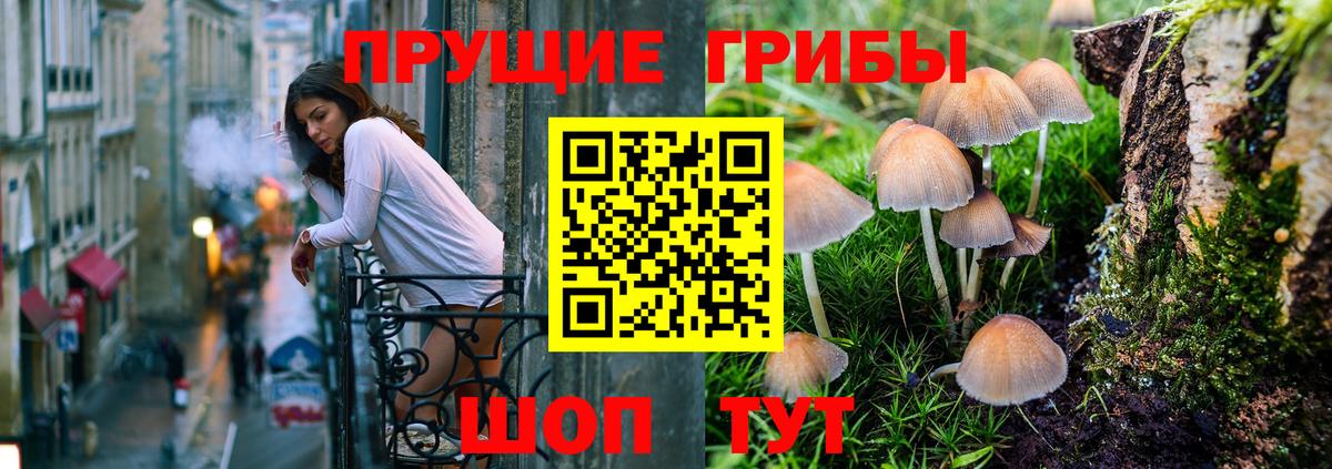Псилоцибиновые грибы мухоморы  Галлюциногенные грибы Magic Shrooms  Вход с VPN  Тимашёвск 